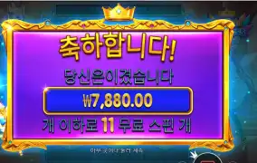 스타라이트 프린세스 파치 １１바퀴