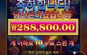 제휴 바오 후기