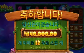 제휴 바오 후기