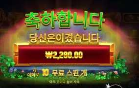 휠 오골드 ２콩 배팅