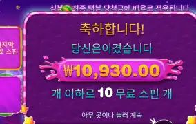 스위트 보난자 １０００ 다이스 １０바퀴