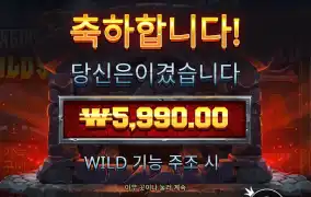 포징 와일드 １５천원 후기