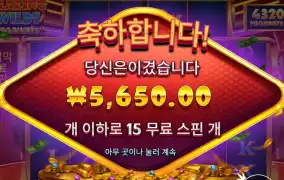 블레이징 와일드 ５천원