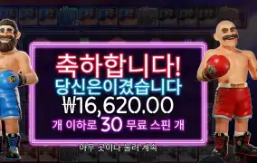 빅 배스 복싱 보너스 라운드 30바퀴
