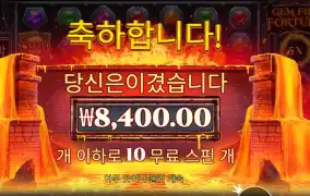 젬 파이어 포춘 ２콩 결과