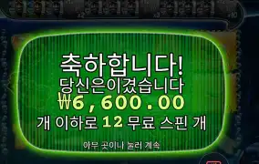 미션 피쉰 12스핀 스타트