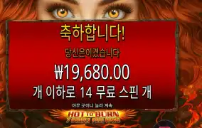 핫 투 번 ７ 데들리 프리 스핀 ２콩 배팅