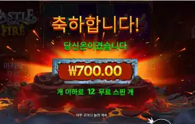 캐슬 오브 파이어 돌리고