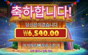 랍스터 하우스 14스핀