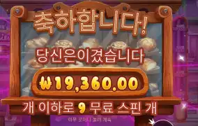 와일디즈 19천원