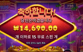 온라인슬롯 블레이징 와일드