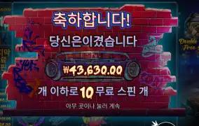 더블 독 5콩 배팅