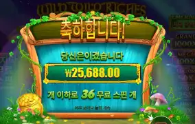 와일드 와일드 리치 리턴