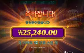 포춘 에이스 슈퍼 스캐터 ２５천원