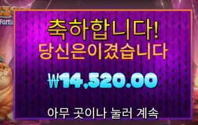 폰조 필라인 포춘스 14천원