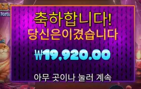 폰조 필라인 포춘스 １９천원