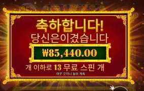 5 라이언즈 리본 85천원