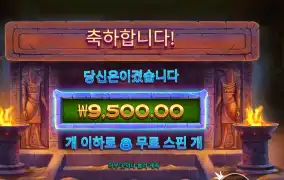 나일 포춘 배팅