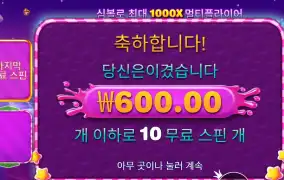 스위트 보난자 1000 다이스 2콩 투입