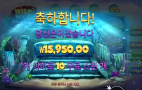 와일드 와일드 펄스 에픽 윈