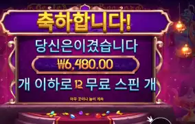 지니스 젬 보난자 １２스핀