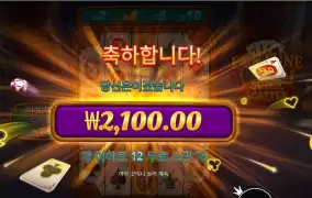 포춘 에이스 2콩 배팅