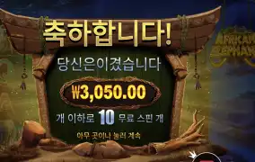 아프리칸 앨리펀트 ３천원