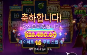 와일드 와일드 조커 ２３천원