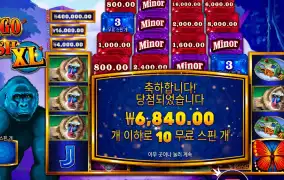 콩고 캐시 XL 6천원