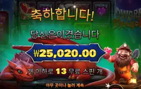 드워프 앤드 드래곤 25천원