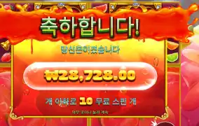 쥬시 후르츠 멀티홀드 143배