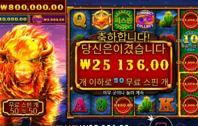 파이어 스탬피드 ２ ５０스핀