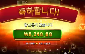 포춘 애이스 ２４스핀