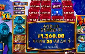 콩고 캐시 XL 2콩 배팅