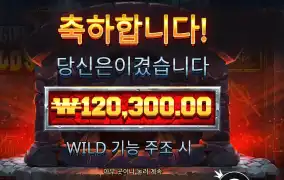 포징 와일드 ６０１배