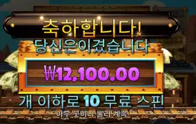 스티밍 릴스 １２천원