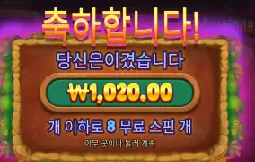 몰레이오네어 천원