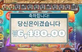 스플래시 1000 6천원