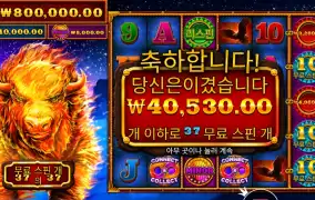 파이어 스탬피드 ２０２배