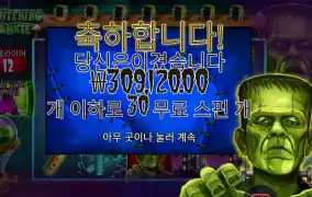 프라이트닝 프랭키 ３０콩