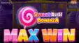 스위트 러쉬 보난자 x5,000배 맥스윈!! [프라그마틱]