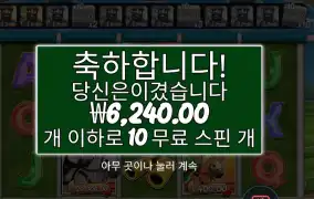 레이스 6천원
