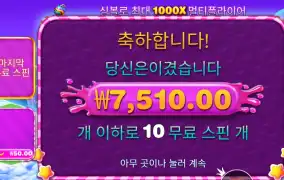스위트 보난자 1000 10바퀴