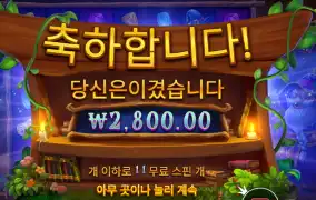 스펠바운딩 미스테리 노바닥