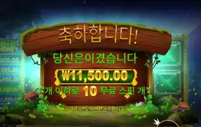 아이리시 크라운 11천원