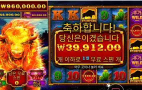 파이어 스탬피드 올티메이트 199배