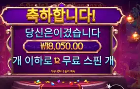 지니스 젬 보난자 １８천원