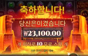 젬 파이어 포춘 １１５배