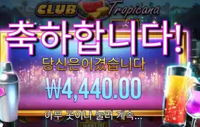 클럽 트로피카나 4천원