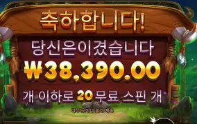 릴리즈 더 바이슨 38천원